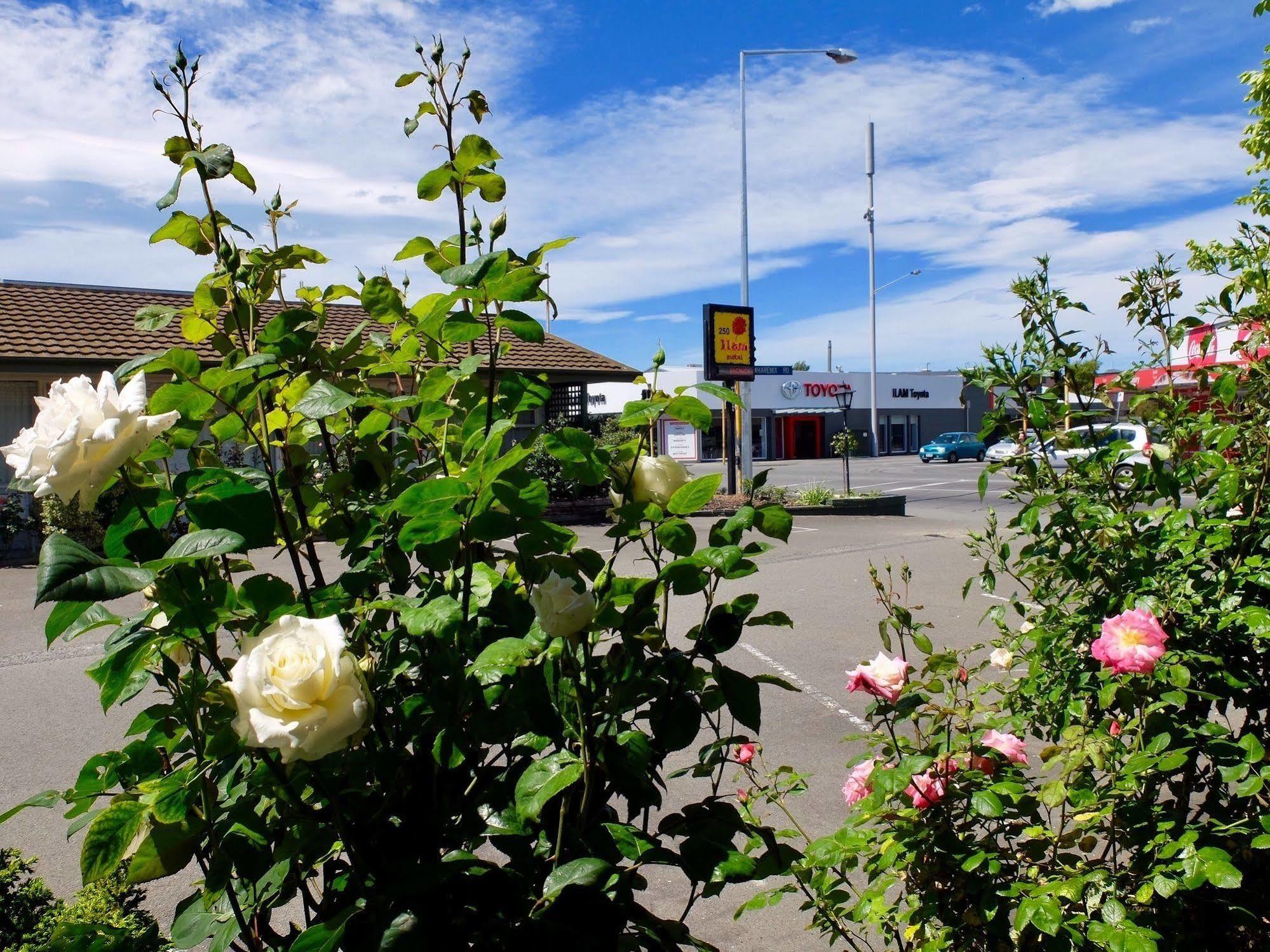 Ilam Motel Крайстчерч Екстер'єр фото